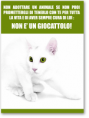 Adozione gatto